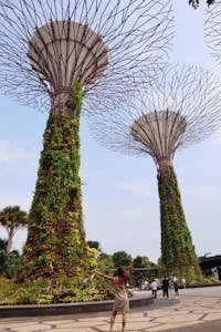 Supertree Grove at Gardens by the Bay, Singapore