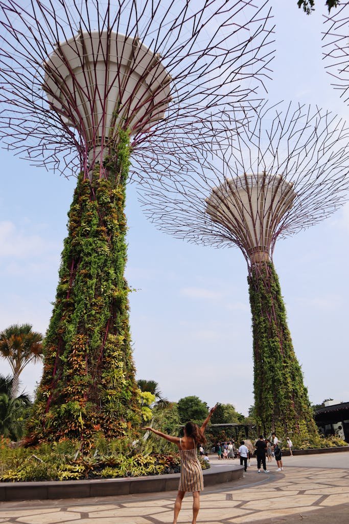 Supertree Grove at Gardens by the Bay, Singapore