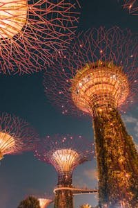 Supertree Grove illuminated at night in Singapore