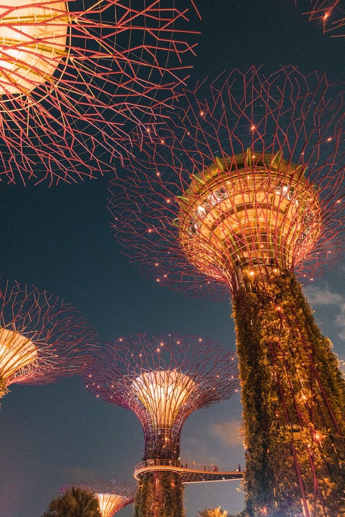 Supertree Grove illuminated at night at Gardens by the Bay, Singapore